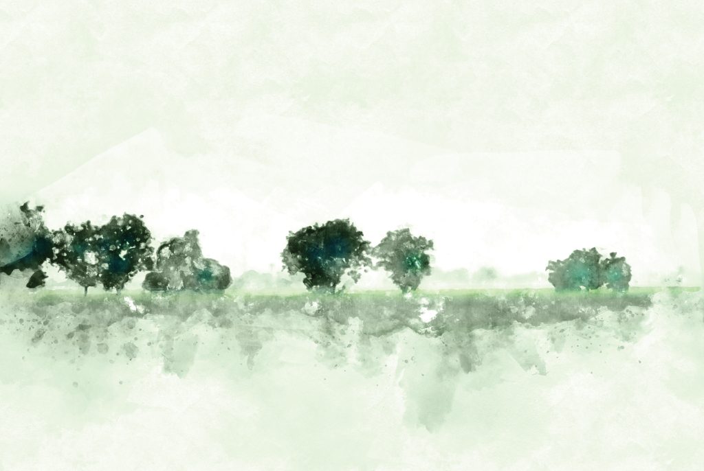 Watercolor style graphic featuring green trees on a white background